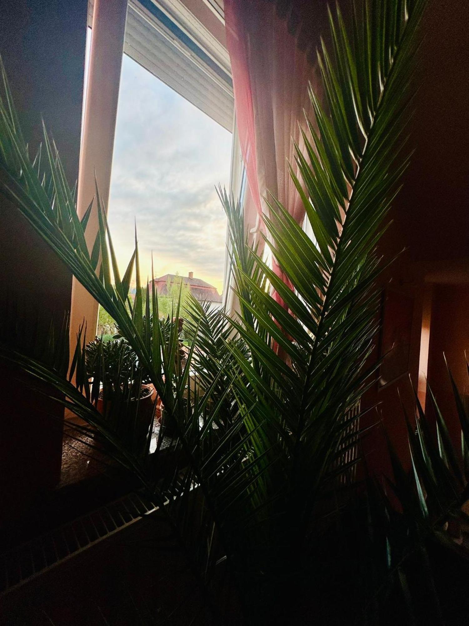 La Villa Pergola Szentgotthárd Buitenkant foto